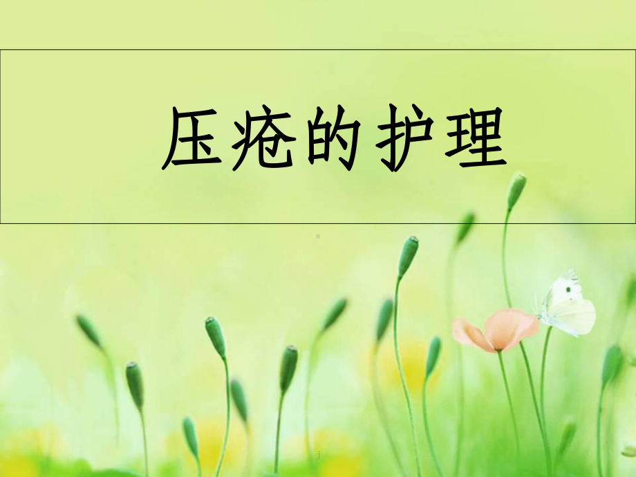 《压疮的护理》课件.ppt_第1页