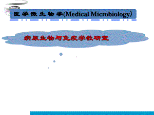 医学微生物学绪论(同名240)课件.ppt