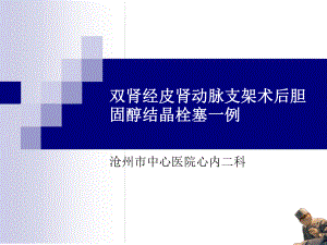 双肾经皮肾动脉支课件.ppt