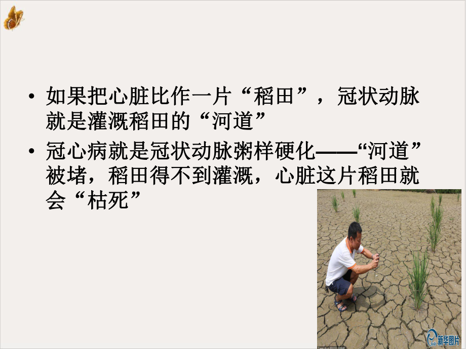 冠心病健康宣教教学课件.ppt_第3页