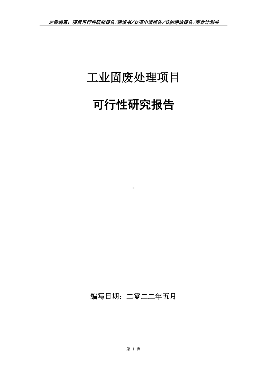 工业固废处理项目可行性报告（写作模板）.doc_第1页