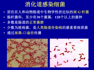 医学消化道感染细菌课件.ppt