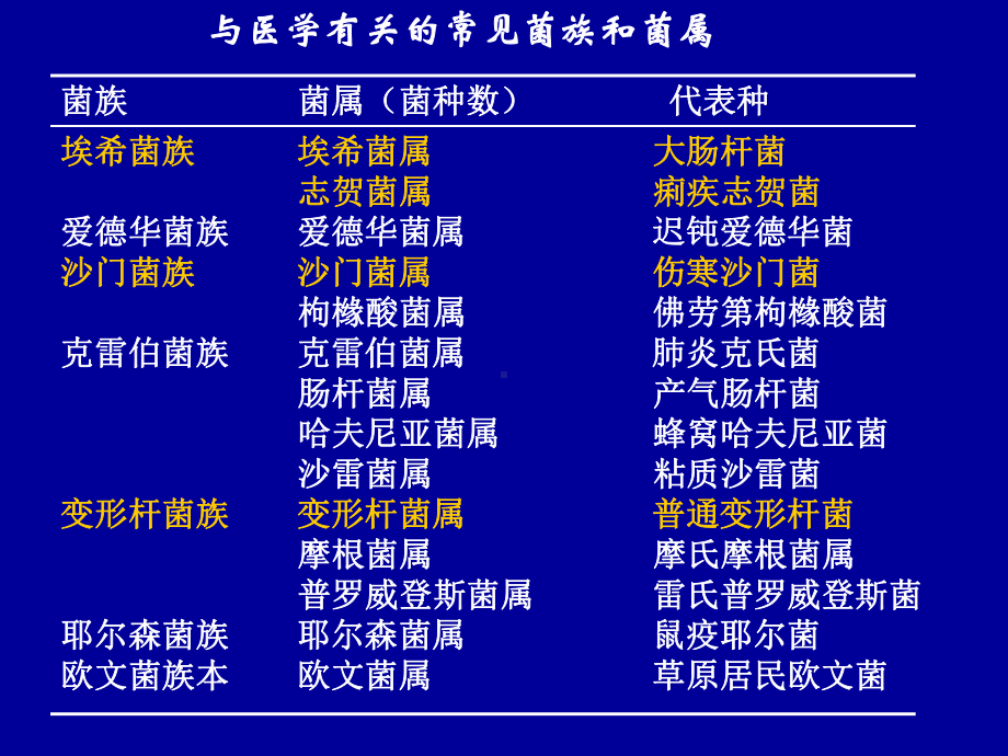 医学消化道感染细菌课件.ppt_第2页