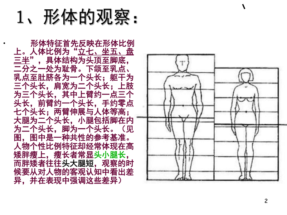 人物速写透视比例(课堂)课件.ppt_第2页