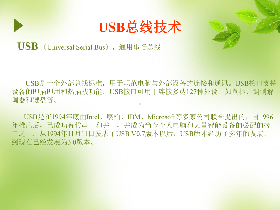 USB总线技术及应用分析课件.ppt_第2页