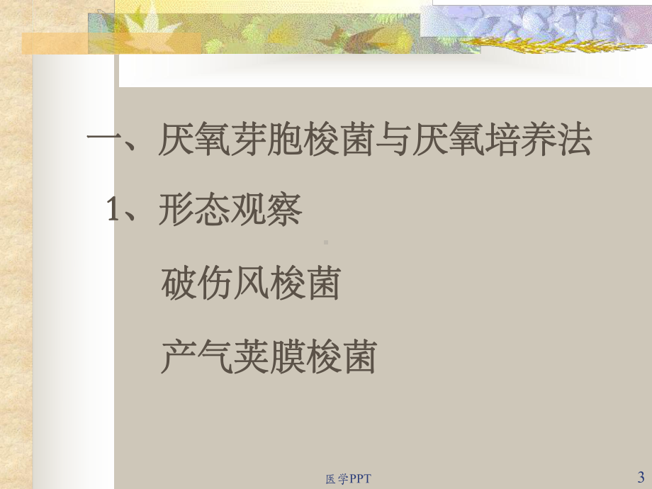 《医学微生物实验》课件.ppt_第3页