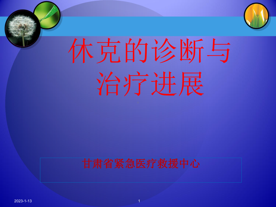 休克的诊断与治疗进展课件.ppt_第1页