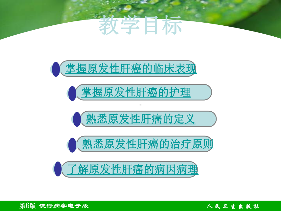 原发性肝癌病人的护理课件整理.ppt_第2页