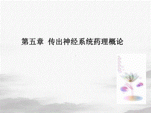 传出神经系统药理概论整理课件.ppt