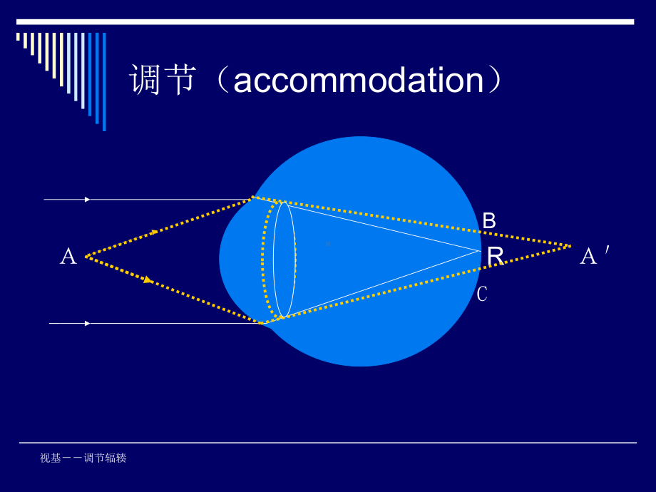 临床视光学基础眼球光学调节辐辏课件.ppt_第1页