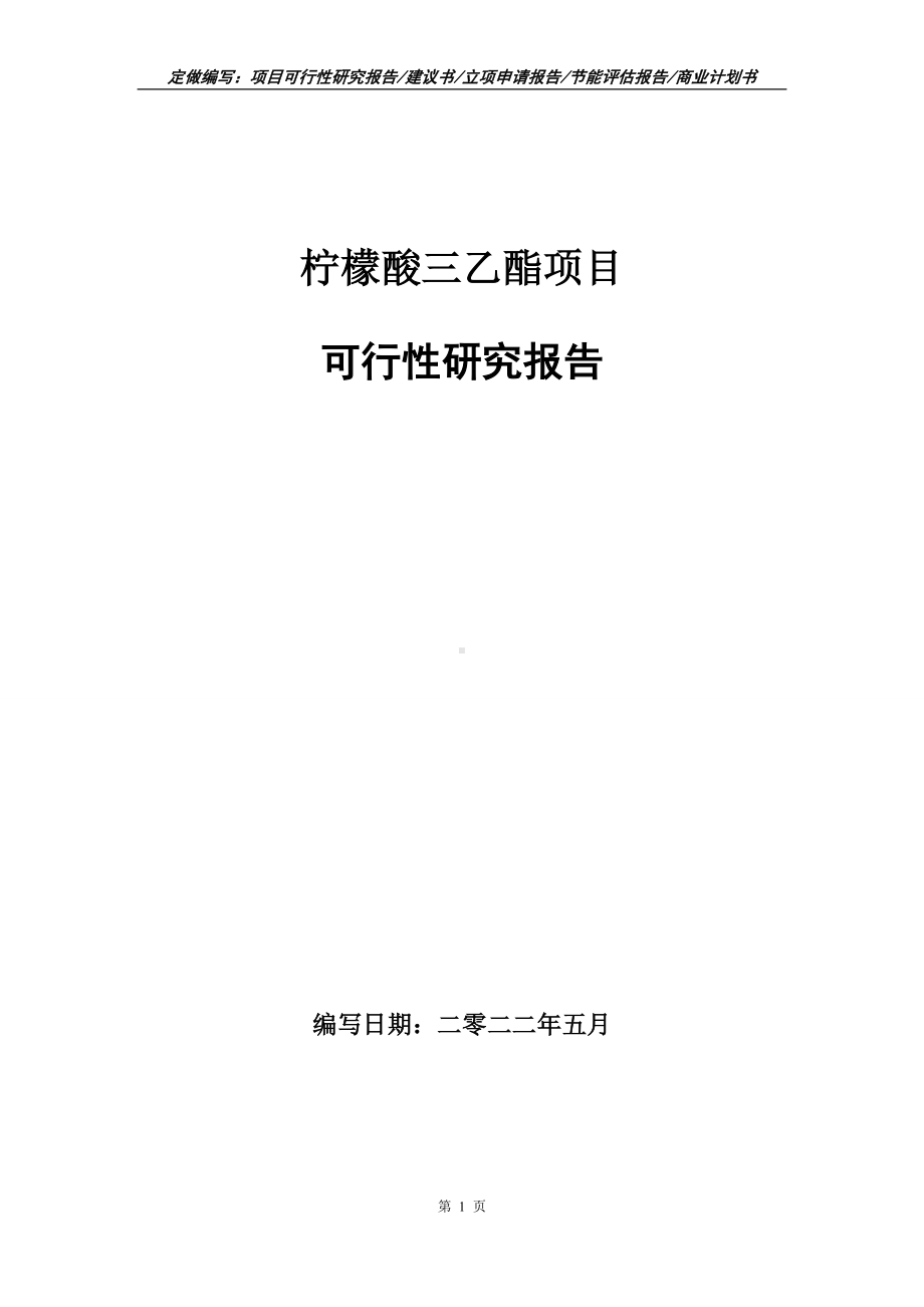 柠檬酸三乙酯项目可行性报告（写作模板）.doc_第1页