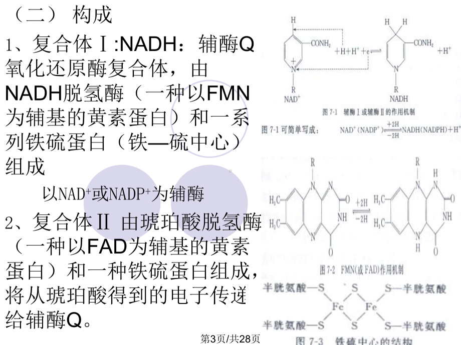 三生物膜与呼吸链课件.pptx_第3页