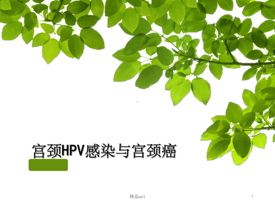 HPV感染与宫颈癌(同名459)课件.ppt_第1页