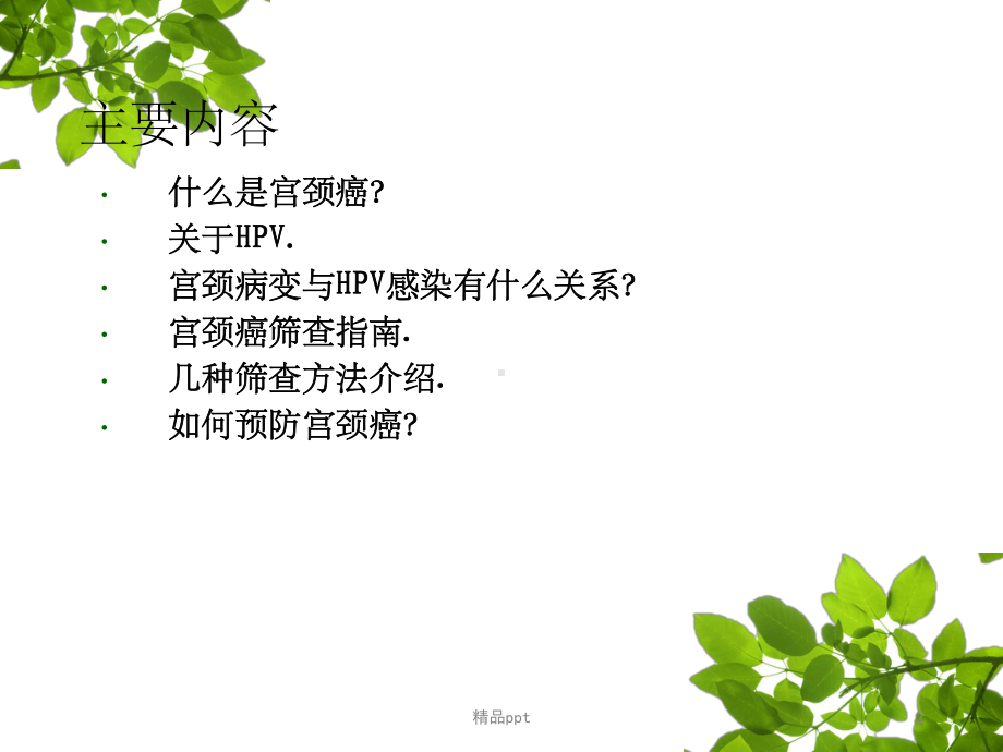 HPV感染与宫颈癌(同名459)课件.ppt_第2页