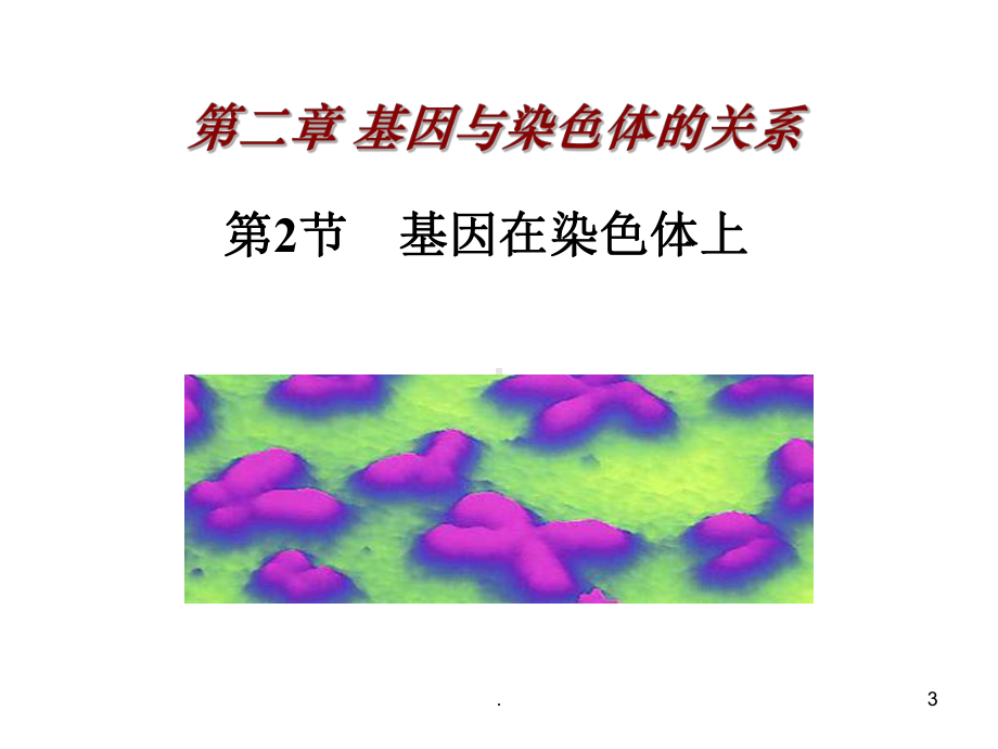 基因在染色体上上课件.ppt_第3页