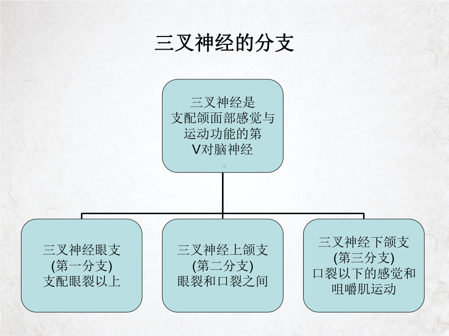 三叉神经痛患者的护理查房课件整理.ppt_第3页