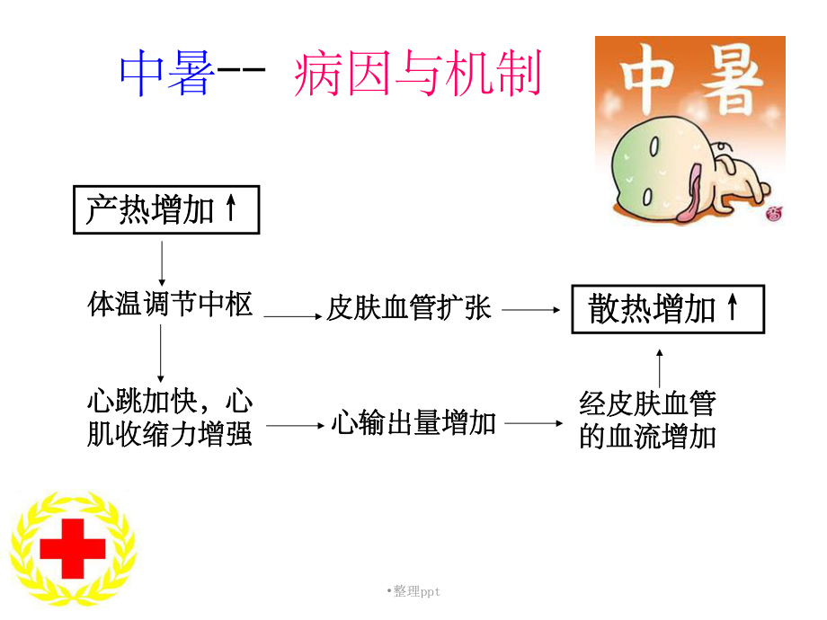 医院中暑应急救护培训讲座课件.ppt_第3页