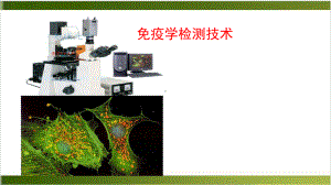 免疫学检测技术课件.pptx