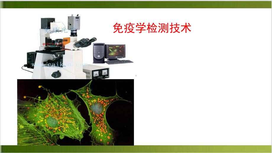 免疫学检测技术课件.pptx_第1页