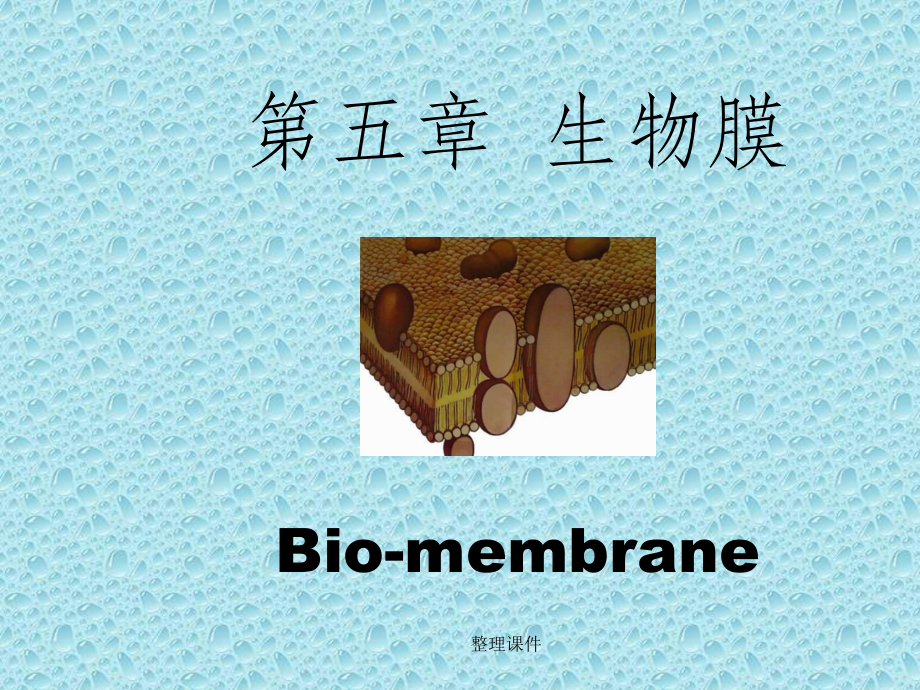 生物膜是指细胞的细胞膜和多种内膜系统(包括核膜课件.ppt_第1页