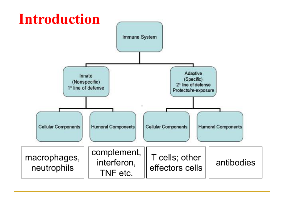 最新固有免疫系统及其应答课件.ppt_第2页