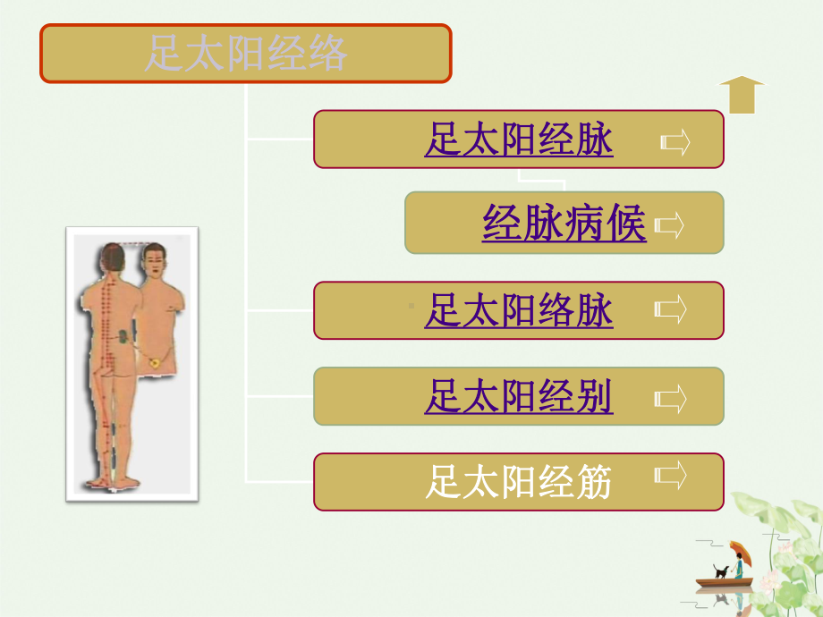 淮阴卫校足太阳膀胱经全部穴位课件.pptx_第3页