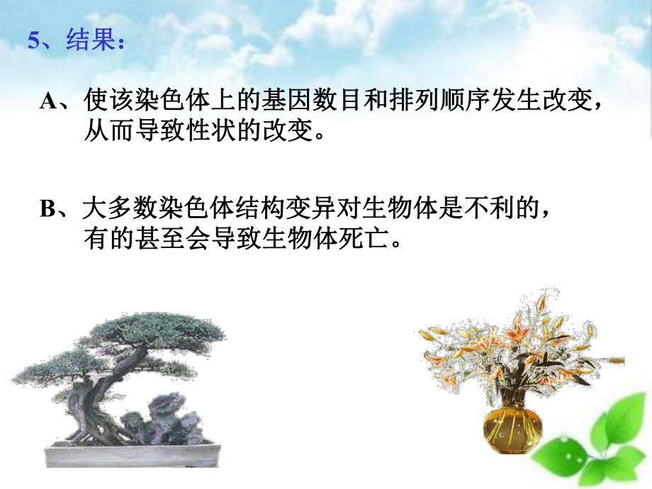 染色体变异课件(自制)9.ppt_第3页