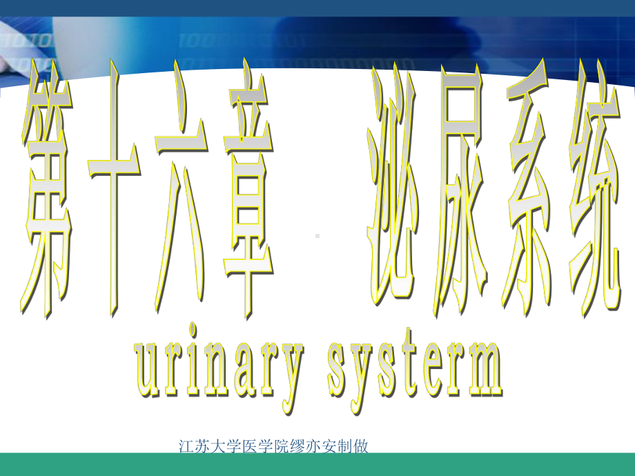 泌尿系生理功能课件.ppt_第2页