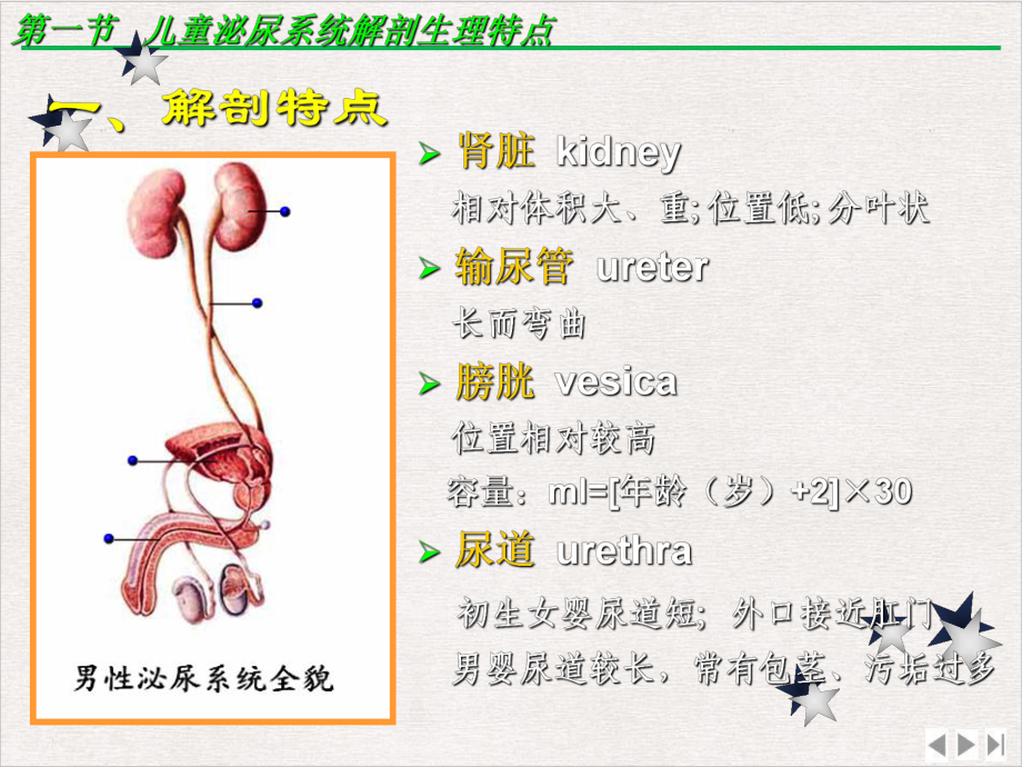 泌尿系统疾病肾炎最新版课件.pptx_第3页