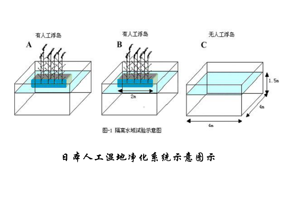 水污染及其成因2-人教课标版课件.ppt_第3页