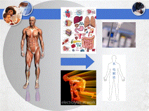 液体治疗思考课件.pptx