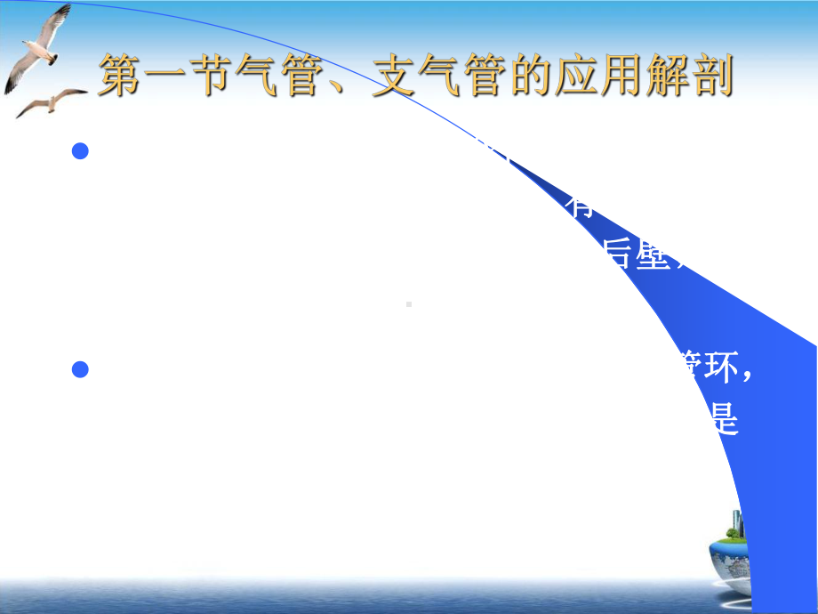 气管食管教案课件.pptx_第1页