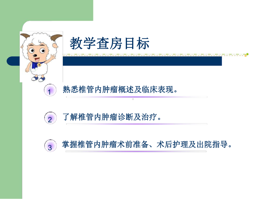 新椎管内肿瘤围手术期护理课件.ppt_第2页