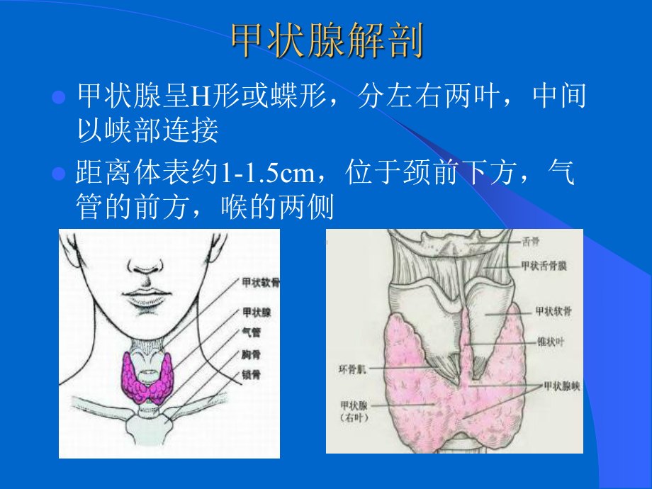 甲状腺疾病诊断与治疗终版课件.ppt_第2页