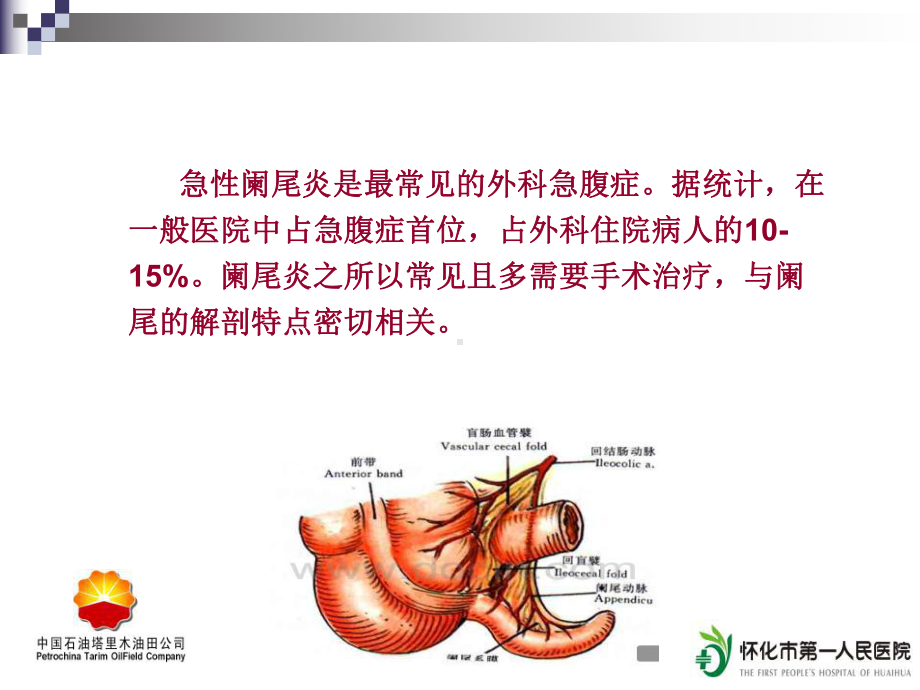 急性阑尾炎的CT诊断课件整理.ppt_第3页