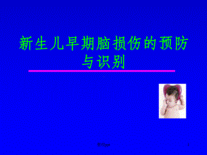 新生儿早期脑损伤的预防与识别课件.ppt