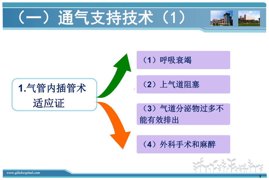 急诊检查与治疗技术课件.ppt_第3页