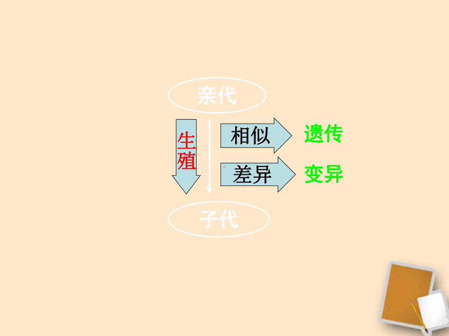 最新中考生物《遗传与变异》《传染病与免疫》专题复习课件-人教新课标版.ppt_第2页