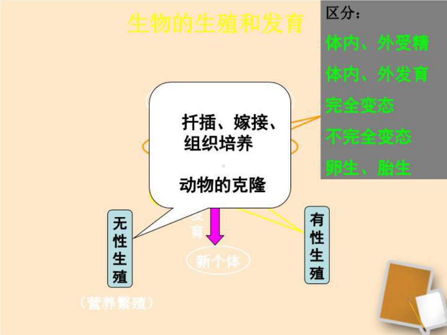 最新中考生物《遗传与变异》《传染病与免疫》专题复习课件-人教新课标版.ppt_第3页