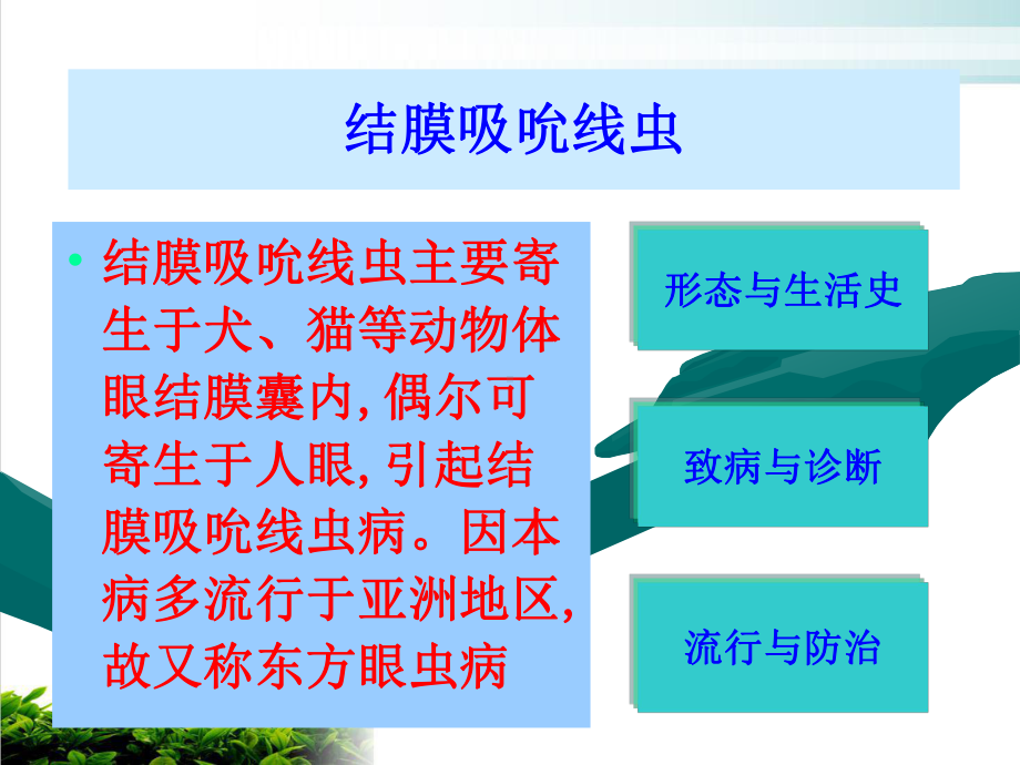 牡丹江医学院临床检验诊断PPT课件.pptx_第2页