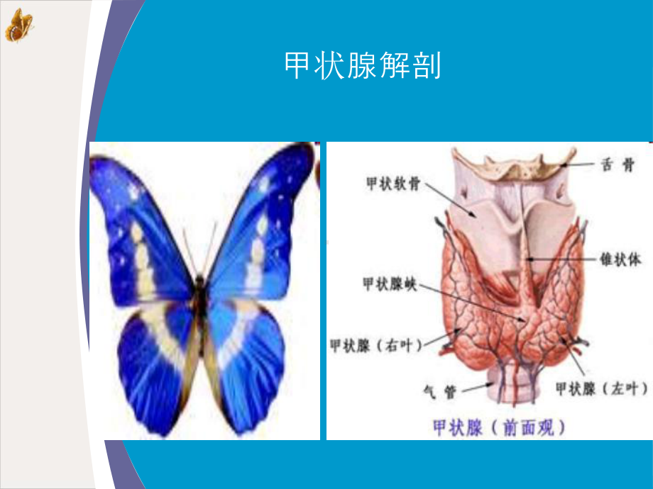 甲状腺癌根治术中喉返神经监测技术的应用课件.pptx_第1页