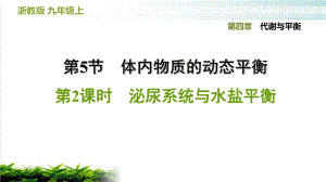 泌尿系统与水盐平衡—浙教版九级科学上册习题课件.ppt