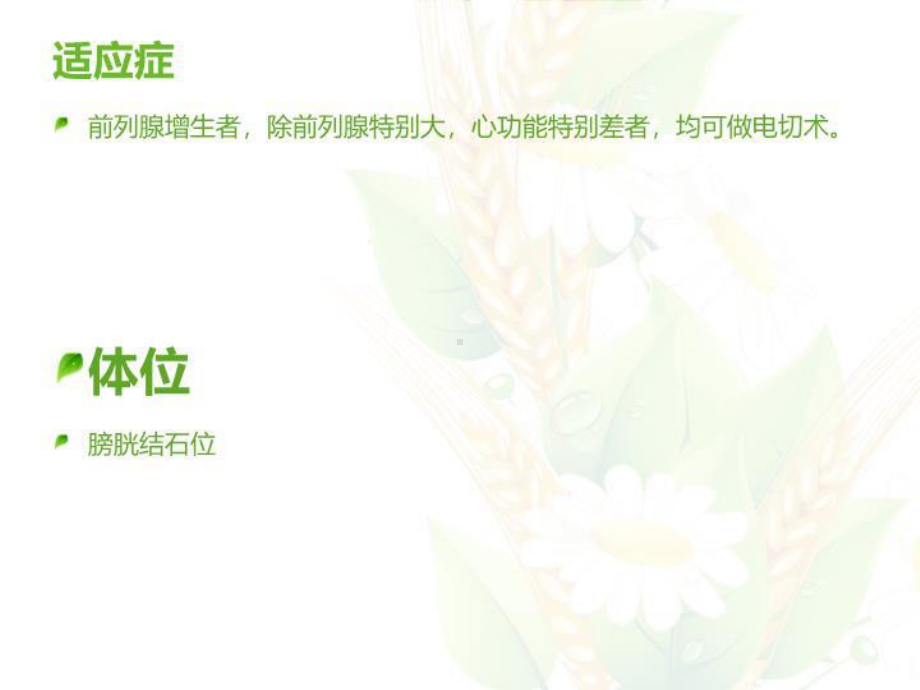 最新经尿道前列腺电切术手术配合课件.ppt_第3页