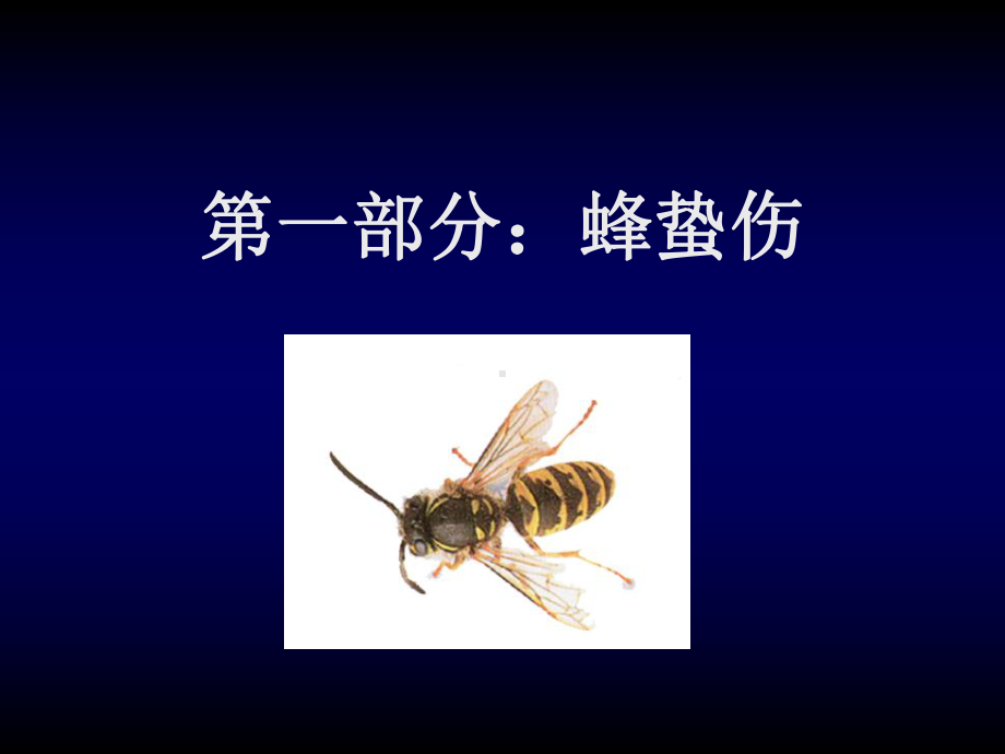 常见动物咬伤课件.ppt_第2页