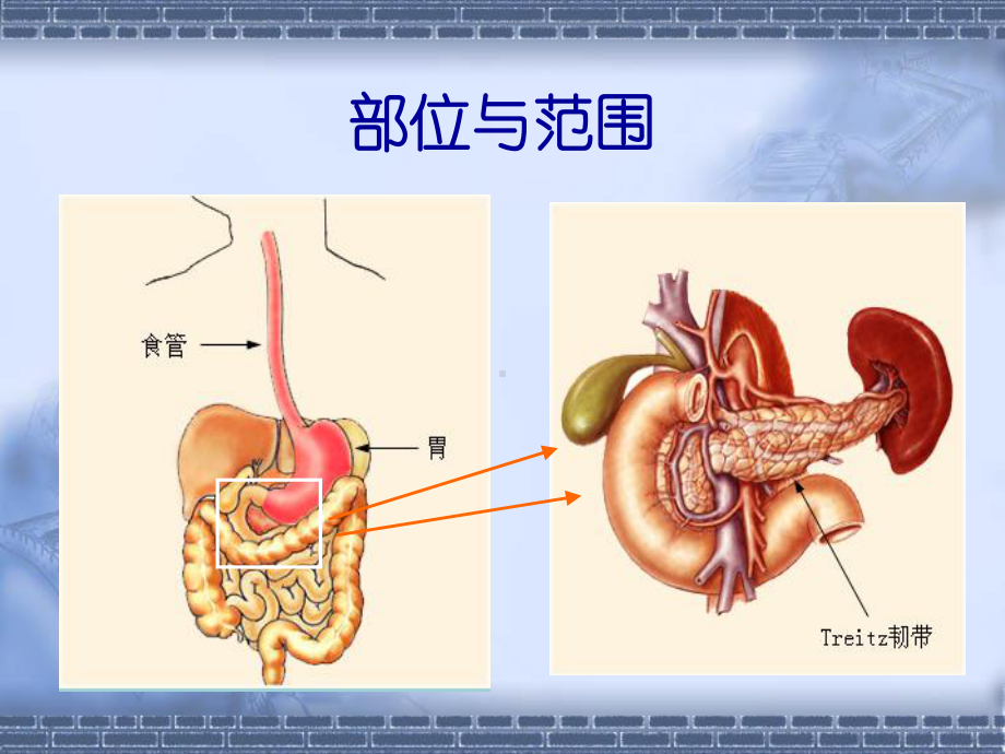 消化道出血-急诊学课件.ppt_第3页