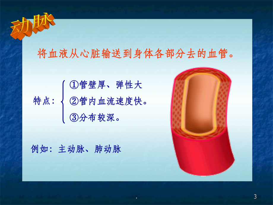 生物血管课件.ppt_第3页