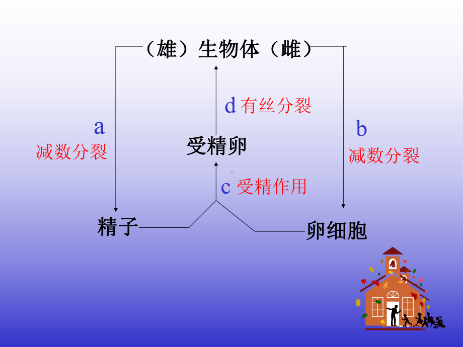 小孢子花粉粒胚囊母细胞课件.ppt_第1页