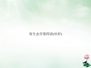 寄生虫学第四讲(丝肝)优质授课课件.ppt