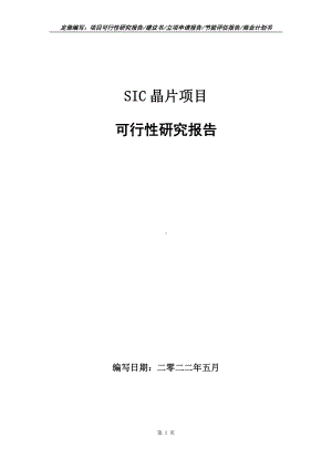 SIC晶片项目可行性报告（写作模板）.doc