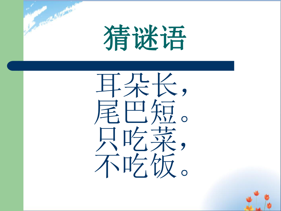 我们的动物朋友优秀课件.ppt_第2页